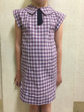 Picture of St Helens State School Dress