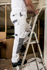 Picture of Prime Mover-KS54-Painters Pro Trouser