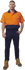 Picture of King Gee Workcool 2 Hi Vis Two Tone Short Sleeve Drill Work Shirt (K54875)